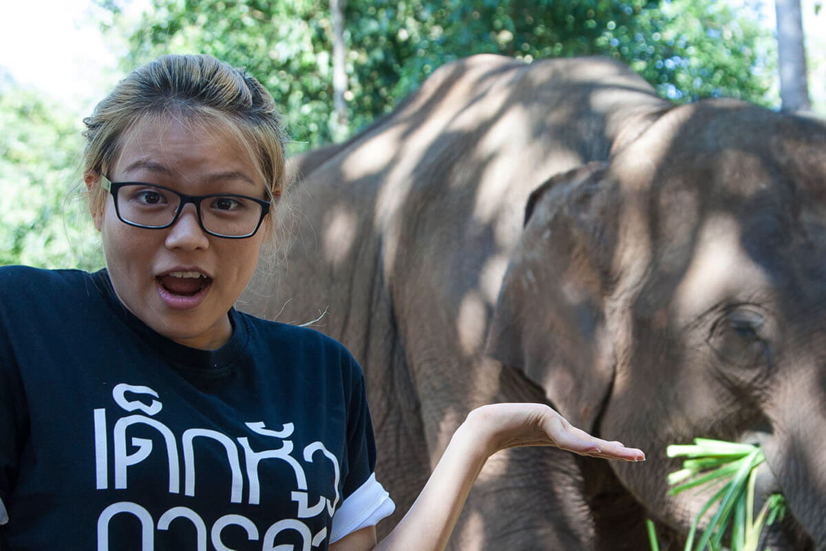 Chit Chit with an elephant at Chai Lai Orchid